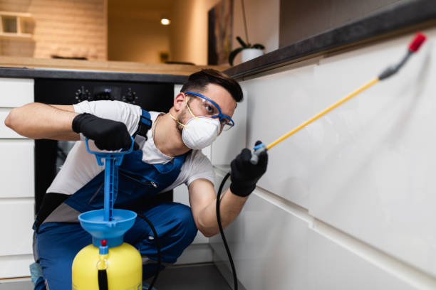 Wildlife Control Services in American Fork, UT