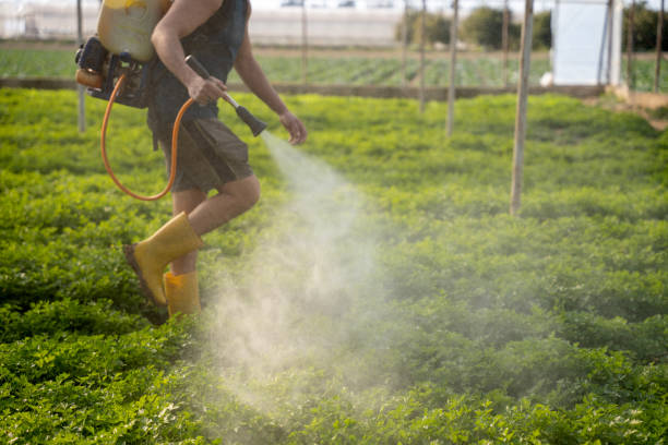 Best Affordable Pest Control Services  in American Fork, UT