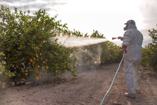 Best Residential Pest Control  in American Fork, UT