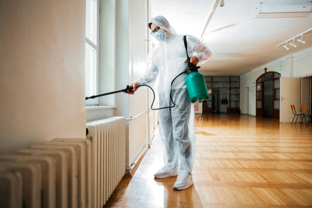 Trusted American Fork, UT Pest Control Experts