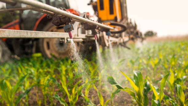 Best Mosquito Control Services  in American Fork, UT